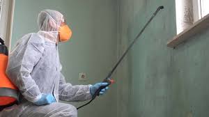 Best Biohazard Mold Removal  in Killeen, TX