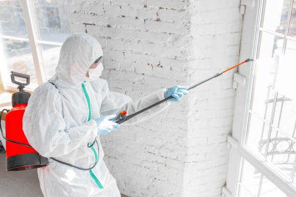 Best Mold Prevention Services  in Killeen, TX